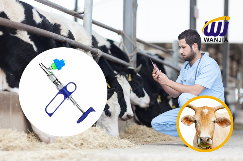 Best Practices for Administering Injections in Cattle: A Guide for Veterinarians and Producers