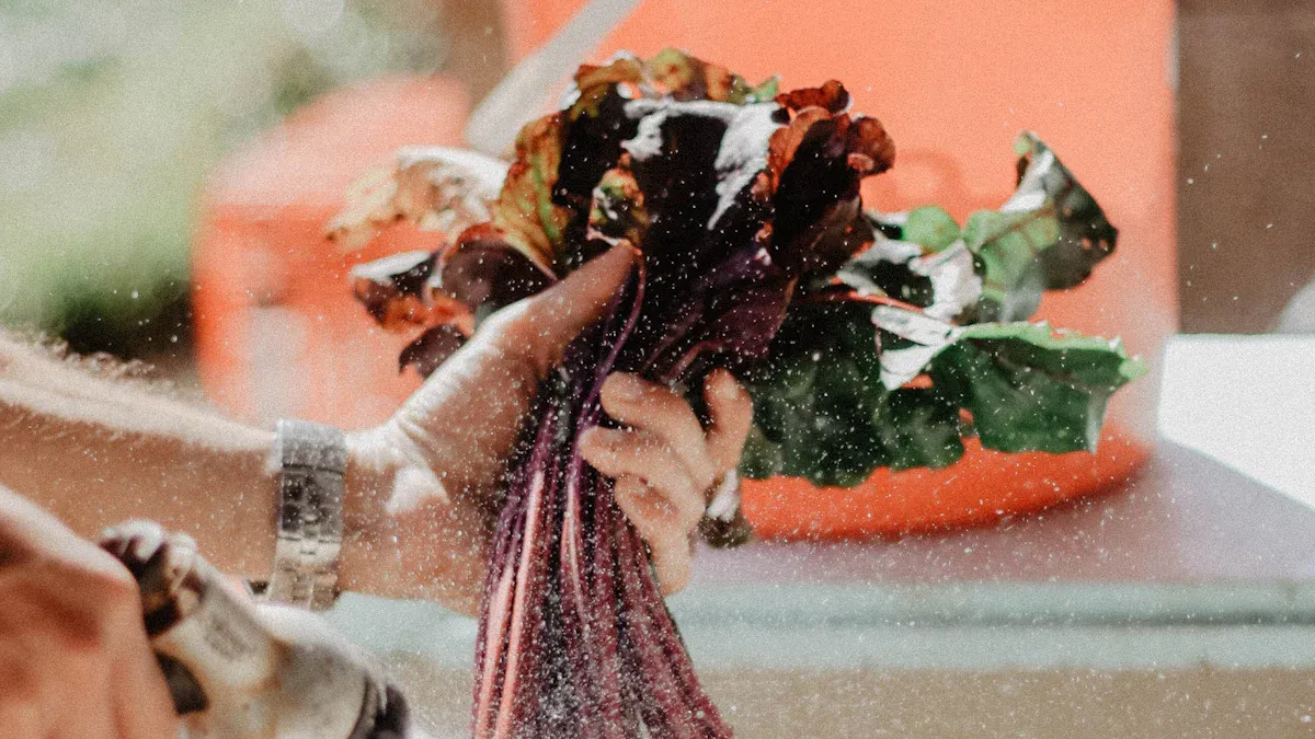 How to Use Automatic Syringes for Poultry Vaccination Effectively