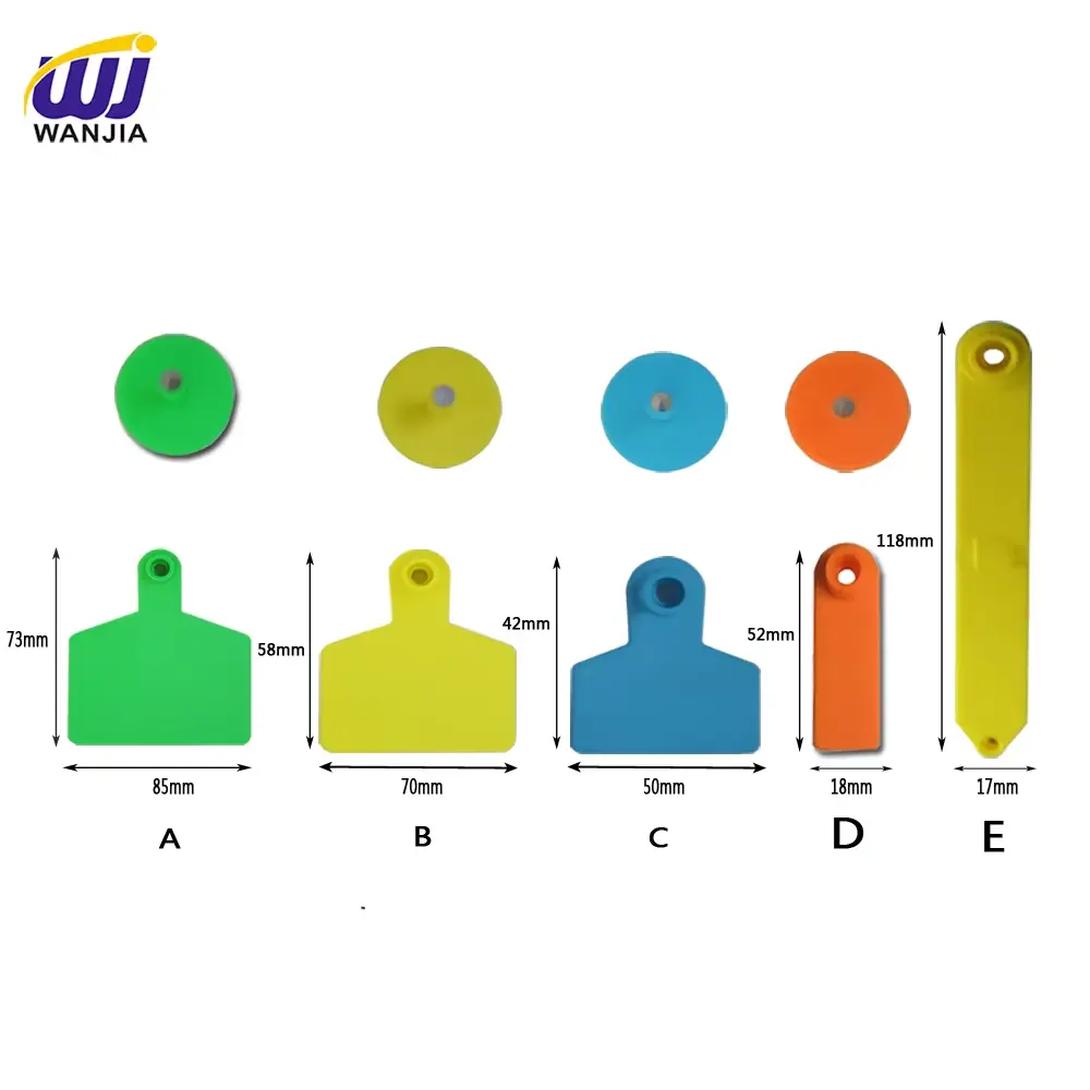 Ear Tag Sizes for Different Livestock: A Guide for Cattle, Sheep, and Pigs